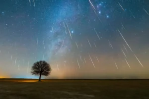 Geminid Meteor Shower 2025 streaks of bright meteors falling across a clear night sky above a lone tree in an open field.