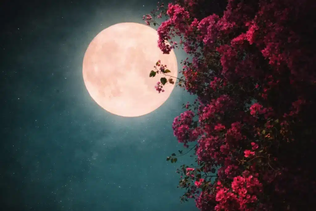 Spiritual Meaning of the Pink Moon